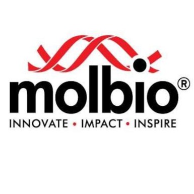 IPO Logo